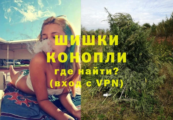 амф Надым