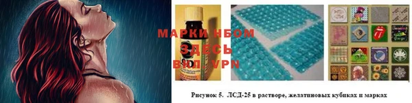 тгк Абинск