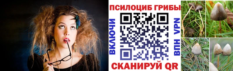 Псилоцибиновые грибы GOLDEN TEACHER  Ртищево 